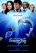 Delfin Hekayəsi / Dolphin Tale (2011) AZE   HDRip - Full Izle -Tek Parca - Tek Link - Yuksek Kalite HD  Бесплатно в хорошем качестве