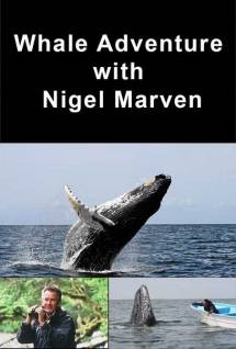 Cмотреть Вслед за китами с Найджелом Марвином / Whale Adventure with Nigel Marven (2013)