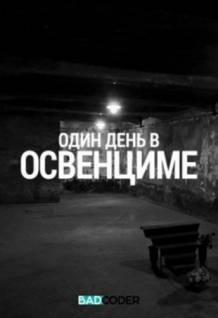 Смотреть онлайн Discovery. Один день в Освенциме / One Day In Auschwitz (2015) - HDTVRip качество бесплатно  онлайн