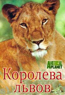 Смотреть онлайн Королева львов / The Lion Queen -  1 - 2 серия HD 720p качество бесплатно  онлайн