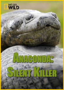 Смотреть онлайн Анаконда: Тихий убийца / Anaconda: Silent Killer (2014) - HD 720p качество бесплатно  онлайн