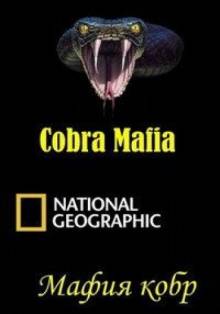 Смотреть онлайн Мафия кобр / Cobra Mafia (2014) - HD 720p качество бесплатно  онлайн