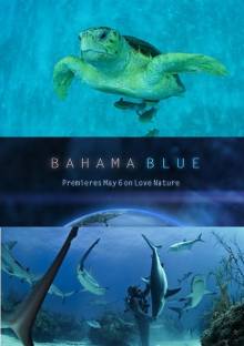 Смотреть онлайн Голубые Багамы / Bahama Blue (2014) -  1 серия HD 720p качество бесплатно  онлайн