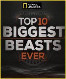 Смотреть онлайн National Geographic. Топ-10 мегамонстров / Top 10 Biggest Beasts Ever (2015) - HD 720p качество бесплатно  онлайн