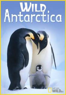 Смотреть онлайн фильм Дикая Антарктика / Wild Antarctica (2015)-Добавлено HD 720p качество  Бесплатно в хорошем качестве