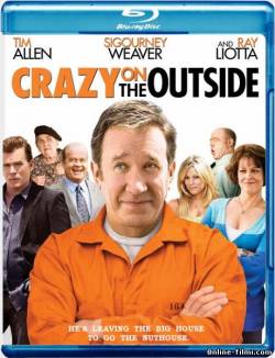 Смотреть онлайн фильм Сумасшедший на воле / Crazy on the Outside (2010)-Добавлено HDRip качество  Бесплатно в хорошем качестве