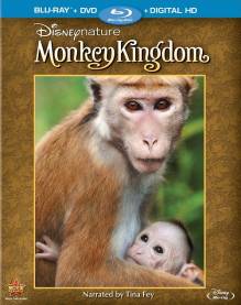 Смотреть онлайн Королевство обезьян / Monkey Kingdom (2015) (Лицензия) - HD 720p качество бесплатно  онлайн