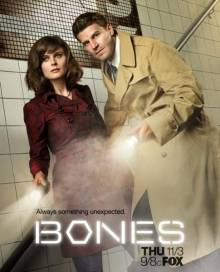 Смотреть онлайн Кости / Bones все серии (1 - 11 сезон / 2005 - 2016) -  1 - 20 серия HD 720p качество бесплатно  онлайн
