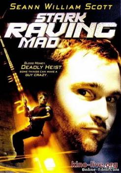 Смотреть онлайн фильм Бесшабашное ограбление (2002)-Добавлено DVDRip качество  Бесплатно в хорошем качестве