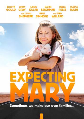 Смотреть онлайн Надежды и ожидания Мэри / Ожидание Мери / Expecting Mary (2010) -  бесплатно  онлайн