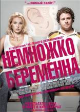 Смотреть онлайн фильм Немножко беременна / Knocked Up (2007)-Добавлено DVDRip качество  Бесплатно в хорошем качестве