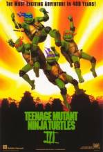 Смотреть онлайн фильм Черепашки Мутанты Ниндзя 3: Черепашки во времени / Teenage Mutant Ninja Turtles III: Turtles in Time-Добавлено DVDRip качество  Бесплатно в хорошем качестве