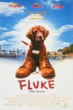 Смотреть онлайн фильм Флюк / Fluke (1995)-Добавлено HDRip качество  Бесплатно в хорошем качестве