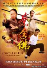 Смотреть онлайн фильм Цайлифо / Cai Li Fo / Choy Lee Fut (2011)-Добавлено DVDRip качество  Бесплатно в хорошем качестве
