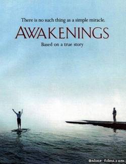Смотреть онлайн фильм Пробуждение / Awakenings (1990)-Добавлено DVDRip качество  Бесплатно в хорошем качестве