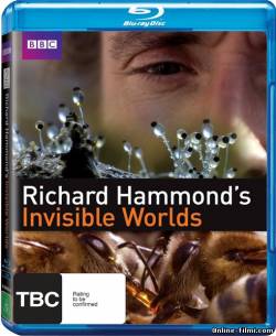 Смотреть онлайн фильм Невидимые миры / Richard Hammonds Invisible Worlds (2010)-  Бесплатно в хорошем качестве