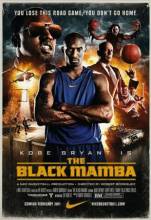 Смотреть онлайн Черная мамба / The Black Mamba (2011) - HDTVRip качество бесплатно  онлайн