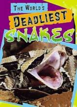 Смотреть онлайн фильм Самые опасные змеи в мире (2010)-Добавлено SATRip качество  Бесплатно в хорошем качестве