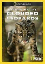 Смотреть онлайн фильм National Geographic. Возвращение дымчатых леопардов (2011)-Добавлено HDRip качество  Бесплатно в хорошем качестве