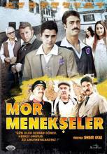 Mor Menekşeler (2011) 29 Bölüm  - Full Izle -Tek Parca - Tek Link - Yuksek Kalite HD  Бесплатно в хорошем качестве