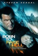 Смотреть онлайн Отчаянный мститель / Рожденный сокрушать / Born to Raise Hell (2010) - HD 720p качество бесплатно  онлайн