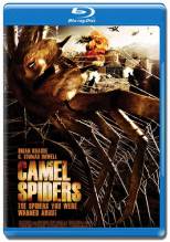 Смотреть онлайн Верблюжьи пауки / Camel Spiders (2012) - SATRip качество бесплатно  онлайн