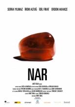 Nar (2011)   DVDRip - Full Izle -Tek Parca - Tek Link - Yuksek Kalite HD  Бесплатно в хорошем качестве