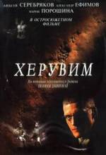 Смотреть онлайн фильм Херувим (2005)-Добавлено 8 из 8 серия   Бесплатно в хорошем качестве