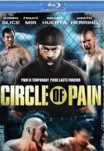 Смотреть онлайн Круг боли / Circle of Pain (2010) - HD 720p качество бесплатно  онлайн