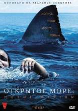 Смотреть онлайн фильм Открытое море / Open Water (2003)-Добавлено HD 720p качество  Бесплатно в хорошем качестве