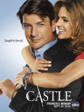 Смотреть онлайн Касл / Castle (1 - 8 сезон / 2010 - 2016) -  1 - 14 серия HD 720p качество бесплатно  онлайн