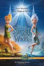 Tinkerbell Gizemli Kanatlar / The Secret of the Wings (2012) Türkçe Altyazılı   HDRip - Full Izle -Tek Parca - Tek Link - Yuksek Kalite HD  онлайн