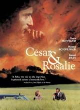 Смотреть онлайн фильм Сезар и Розали / César et Rosalie (1972)-Добавлено DVDRip качество  Бесплатно в хорошем качестве