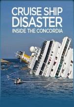 Смотреть онлайн Конкордия: трагедия в камере / Costa Concordia: Caught On Camera (2013) - HD 720p качество бесплатно  онлайн
