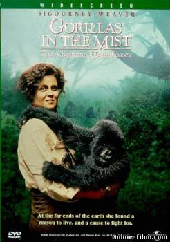 Смотреть онлайн фильм Гориллы в тумане / Gorillas in the Mist (1988)-  Бесплатно в хорошем качестве
