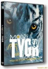 Смотреть онлайн фильм Синий тигр / Modry tygr (2012)-Добавлено HD 720p качество  Бесплатно в хорошем качестве