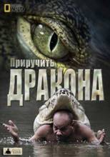 Смотреть онлайн фильм Приручить дракона / Touching the Dragon (2013)-Добавлено SATRip качество  Бесплатно в хорошем качестве