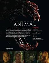 Смотреть онлайн фильм Животное / Animal (2014)-Добавлено HD 720p качество  Бесплатно в хорошем качестве