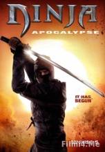 Смотреть онлайн фильм Ниндзя Апокалипсиса / Ninja Apocalypse (2014)-Добавлено HDRip качество  Бесплатно в хорошем качестве