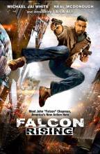 Смотреть онлайн Восхождение Сокола / Falcon Rising (2014) - HD 720p качество бесплатно  онлайн