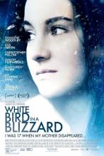 Смотреть онлайн Белая птица в метели / White Bird in a Blizzard (2014) - HD 720p качество бесплатно  онлайн