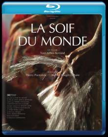 Смотреть онлайн Жажда мира / La soif du monde (2012) - HD 720p качество бесплатно  онлайн