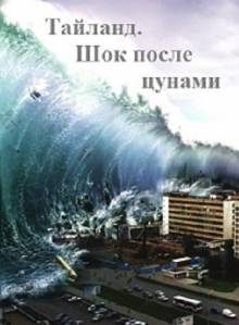 Смотреть онлайн Тайланд. Шок после цунами / Thailand. Shock after the tsunami (2014) - HD 720p качество бесплатно  онлайн