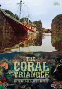 Смотреть онлайн Великие тайны Кораллового треугольника / The Coral Triangle (2013) -  1 серия HD 720p качество бесплатно  онлайн