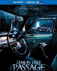 Смотреть онлайн Лемон Три Пасседж / Происшествие на Лимонном шоссе / Lemon Tree Passage (2013) - HD 720p качество бесплатно  онлайн