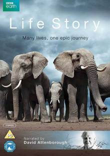 Смотреть онлайн История Жизни / Life Story -  1 - 2 серия HD 720p качество бесплатно  онлайн