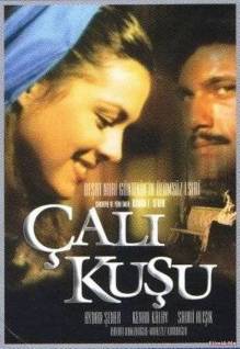 Çalıkuşu dizi (1986) 1 - 7. Bölüm 1 - 7. Bölüm  HD 720p - Full Izle -Tek Parca - Tek Link - Yuksek Kalite HD  Бесплатно в хорошем качестве