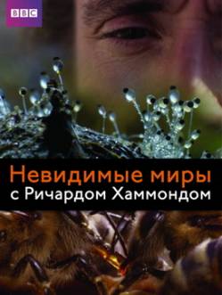 Смотреть онлайн BBC: Невидимые миры с Ричардом Хаммондом (2010) -  1 - 3 из 3 серия HDRip качество бесплатно  онлайн