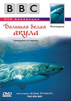 Смотреть онлайн фильм BBC: Большая белая акула (1999)-Добавлено HDRip качество  Бесплатно в хорошем качестве