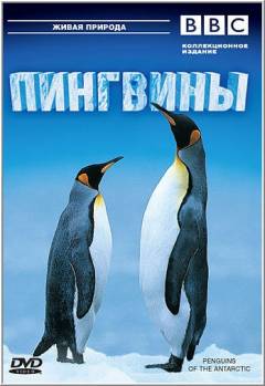 Смотреть онлайн BBC: Пингвины (2006) - HDRip качество бесплатно  онлайн